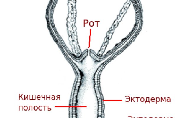 Каталог онион сайтов