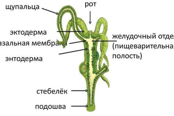 Кракен kr2web in маркетплейс